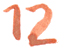 Zahl 12 Tusche