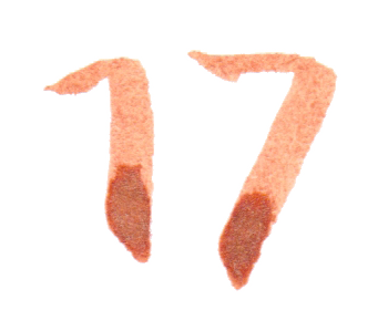 jahnna Tusche Zahl 17