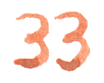 jahnna Tusche Zahl 33
