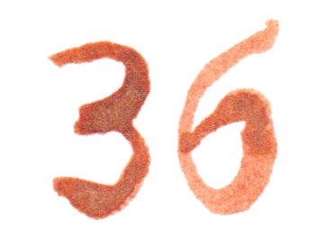 jahnna Tusche Zahl 36