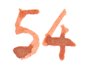 jahnna Tusche Zahl 54