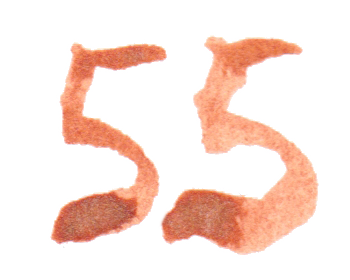 jahnna Tusche Zahl 55