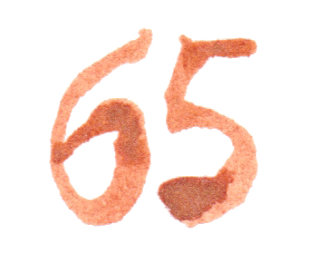 jahnna Tusche Zahl 65