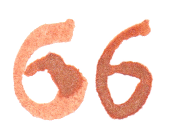 jahnna Tusche Zahl 66