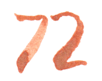 jahnna Tusche Zahl 72